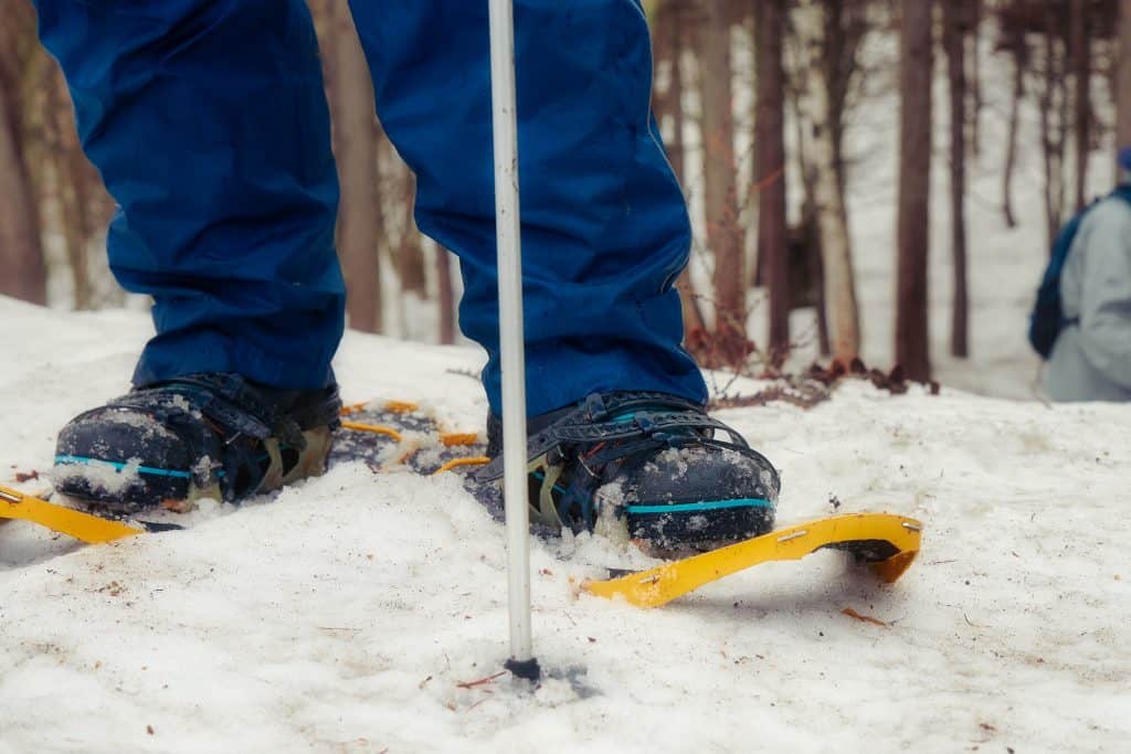 Sasagamine Snowshoe