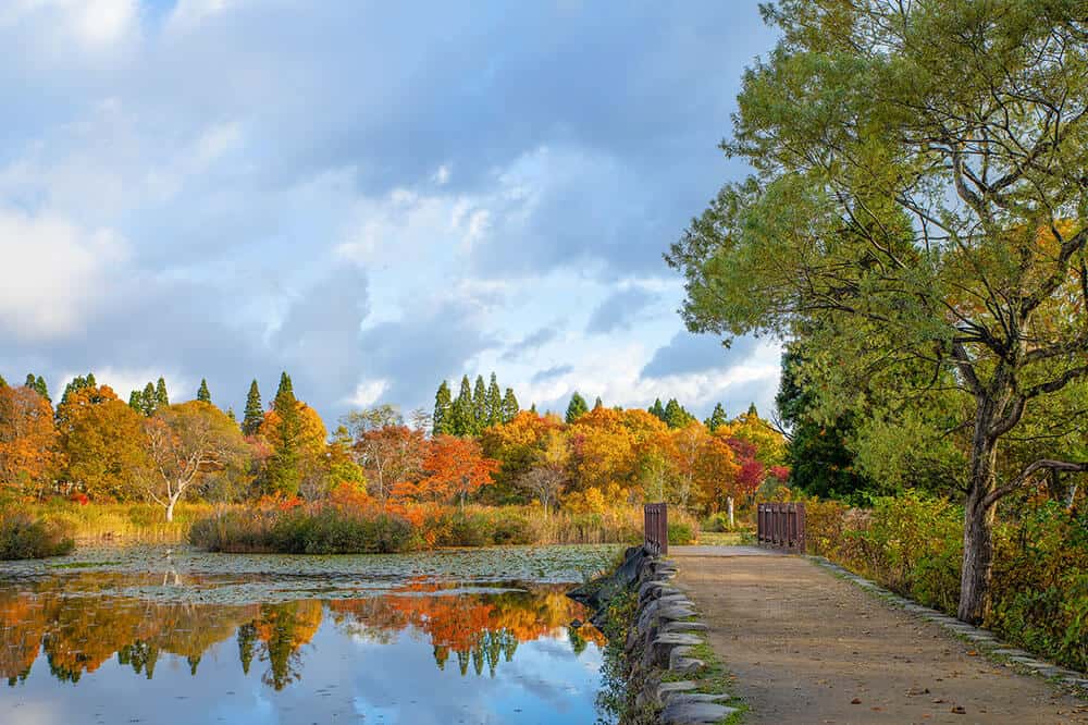 Imori Pond