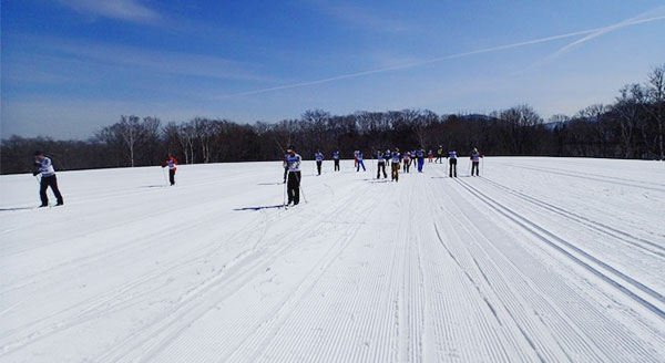 cross country skiing